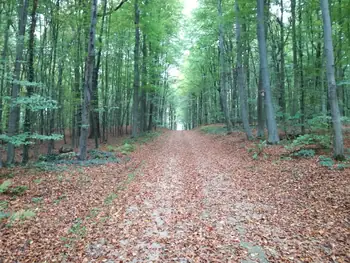 Gaasbeek + Kasteel van Gaasbeek (Lennik, België)